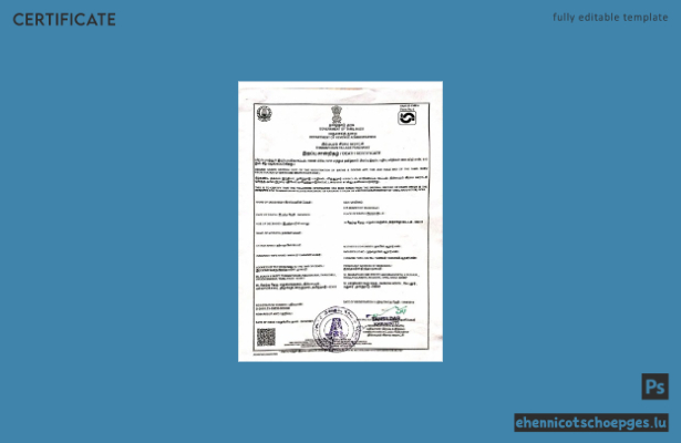Vorschau einer Sterbeurkunde der Regierung von Tamil Nadu, Indien